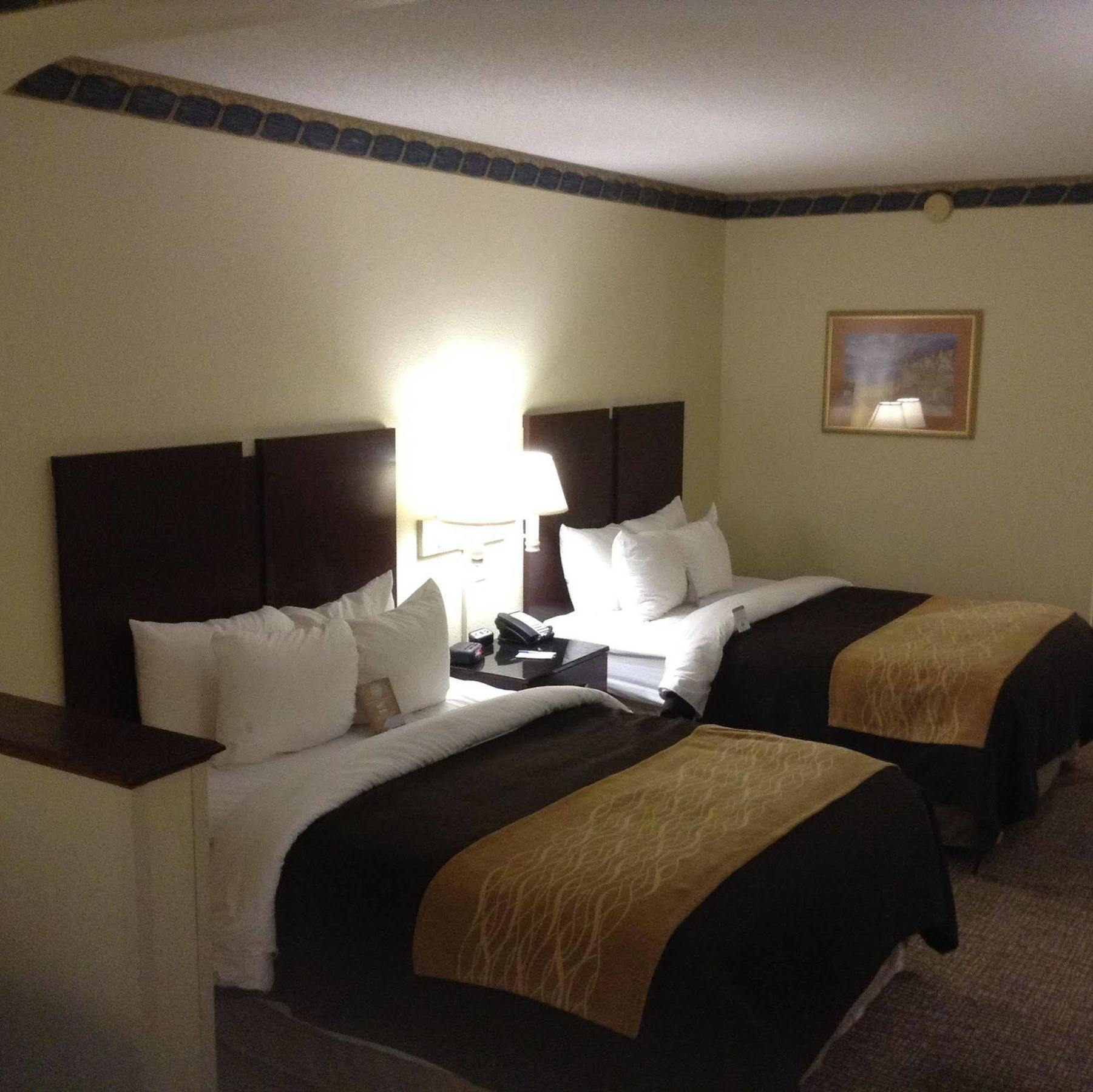 Comfort Inn & Suites Ftjackson Maingate Колумбия Екстериор снимка